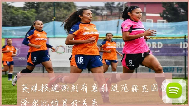 英媒报道热刺有意引进范赫克因德泽尔比的良好关系